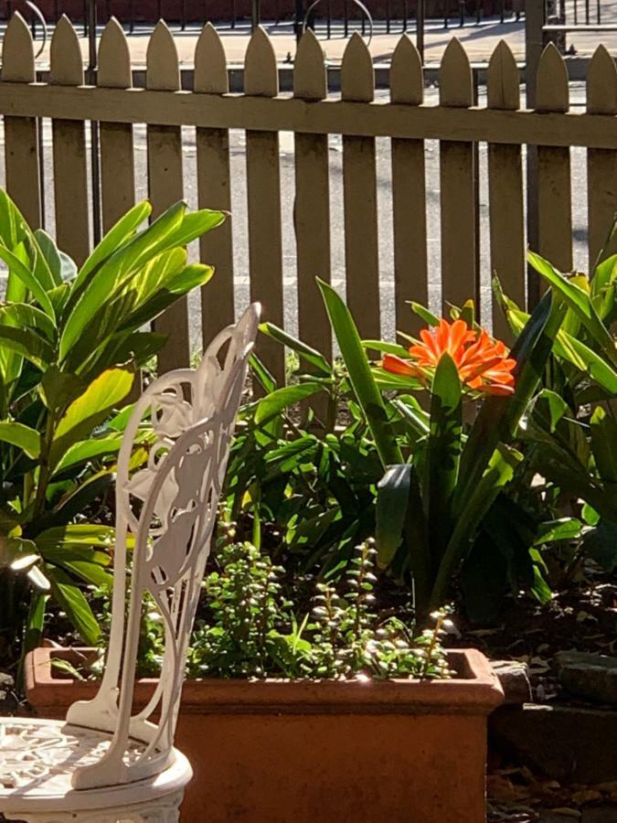 Burwood Bed And Breakfast Sydney Eksteriør bilde